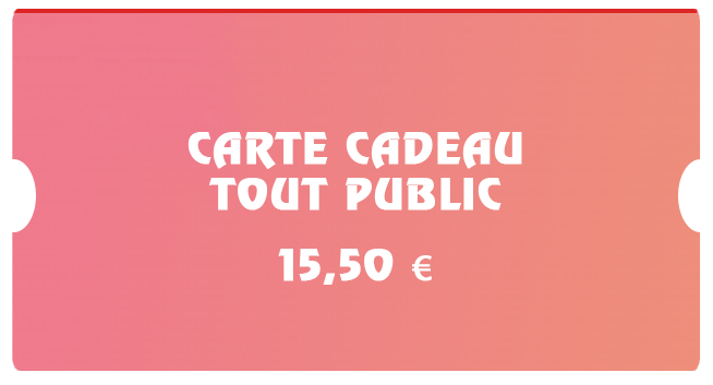 CARTE CADEAU TOUT PUBLIC 15,50 €